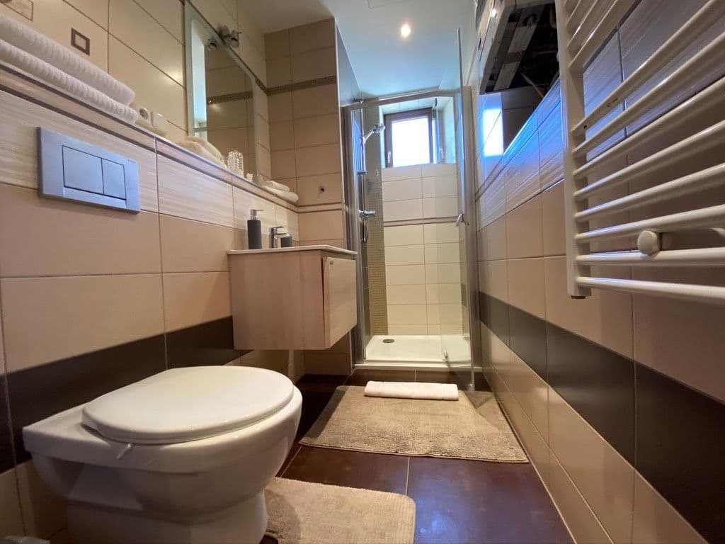 1 bedroom with open-plan kitchen flat to rent, 40 m², Blahníkova, Prague, Prague 1 bedroom with open-plan kitchen flat to rent, 40 m², Blahníkova, Prague, Prague
