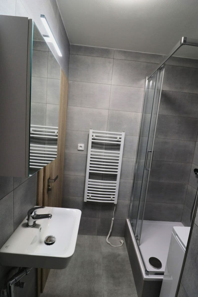 1 bedroom with open-plan kitchen flat to rent, 41 m², Pirinská, Prague, Prague 1 bedroom with open-plan kitchen flat to rent, 41 m², Pirinská, Prague, Prague