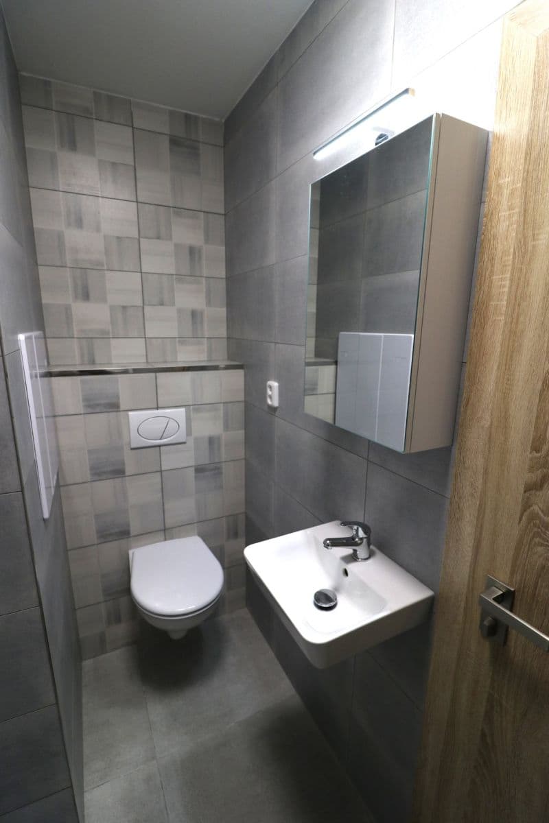 1 bedroom with open-plan kitchen flat to rent, 41 m², Pirinská, Prague, Prague 1 bedroom with open-plan kitchen flat to rent, 41 m², Pirinská, Prague, Prague