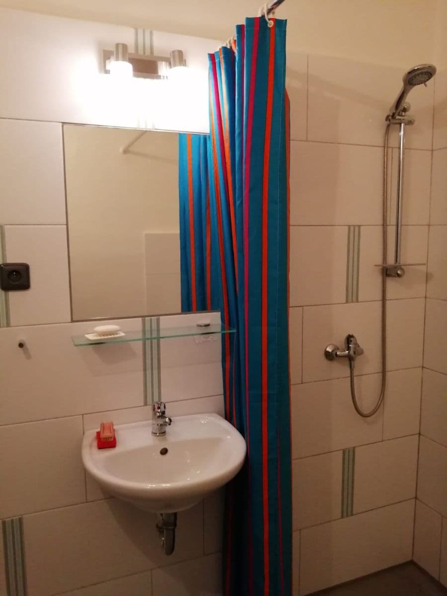 1 bedroom with open-plan kitchen flat to rent, 42 m², Lumiérů, Prague, Prague 1 bedroom with open-plan kitchen flat to rent, 42 m², Lumiérů, Prague, Prague
