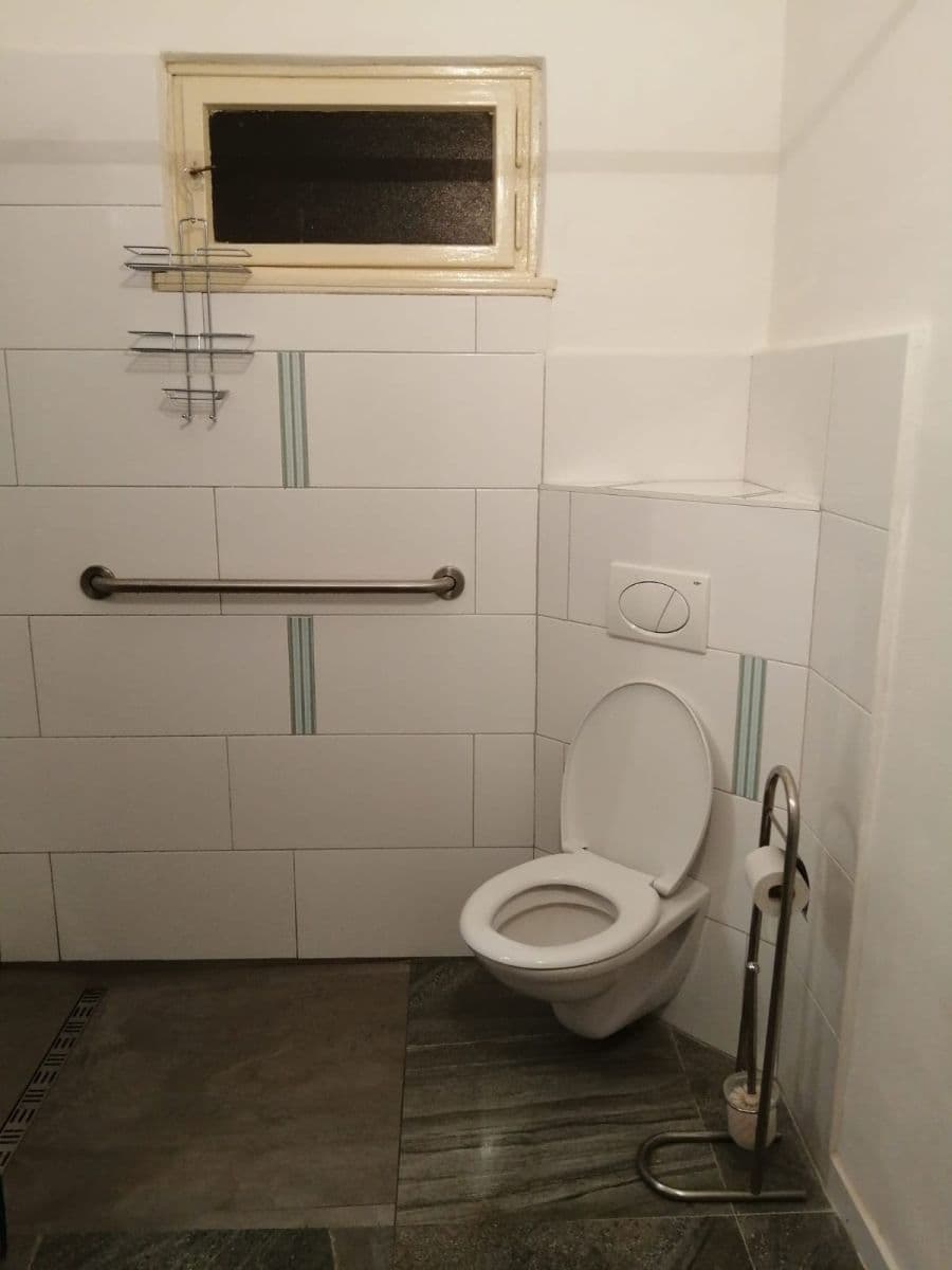 1 bedroom with open-plan kitchen flat to rent, 42 m², Lumiérů, Prague, Prague 1 bedroom with open-plan kitchen flat to rent, 42 m², Lumiérů, Prague, Prague