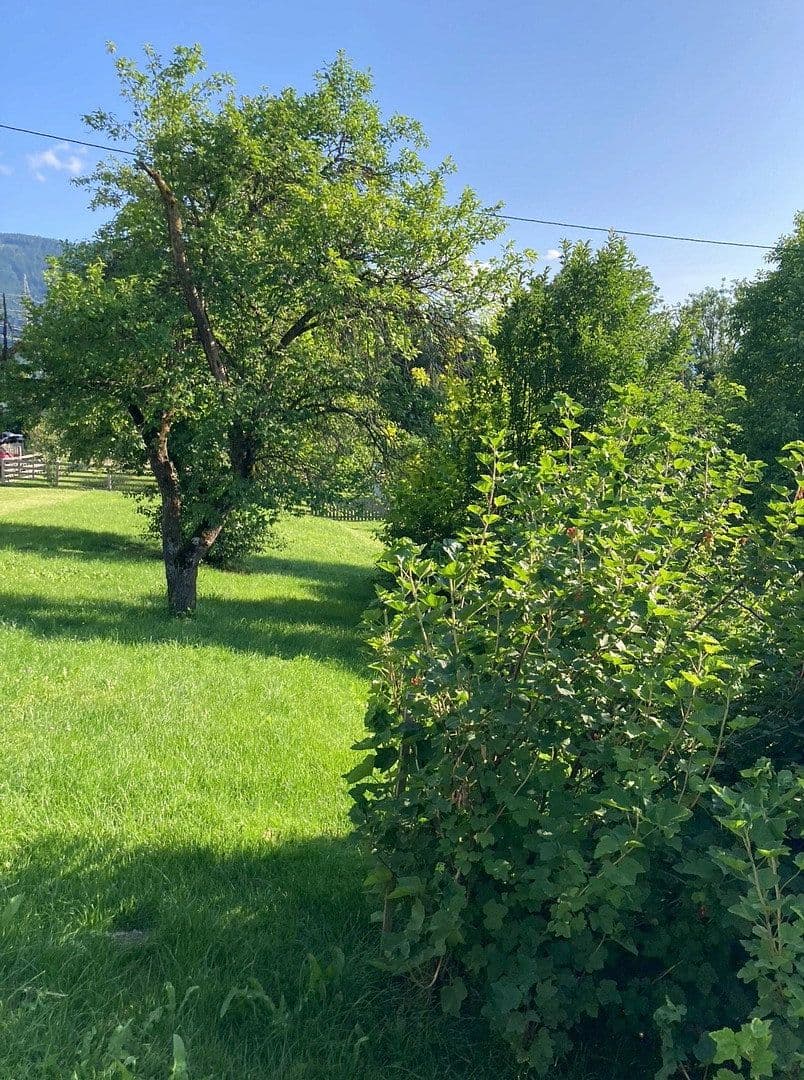 plot for sale, 1,123 m², Tachenberg, Aigen im Ennstal, Styria plot for sale, 1,123 m², Tachenberg, Aigen im Ennstal, Styria