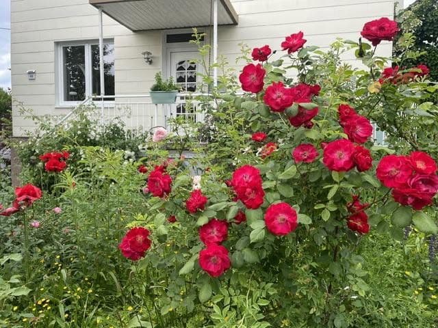 house for sale, 175 m², Siegen, North Rhine-Westphalia house for sale, 175 m², Siegen, North Rhine-Westphalia