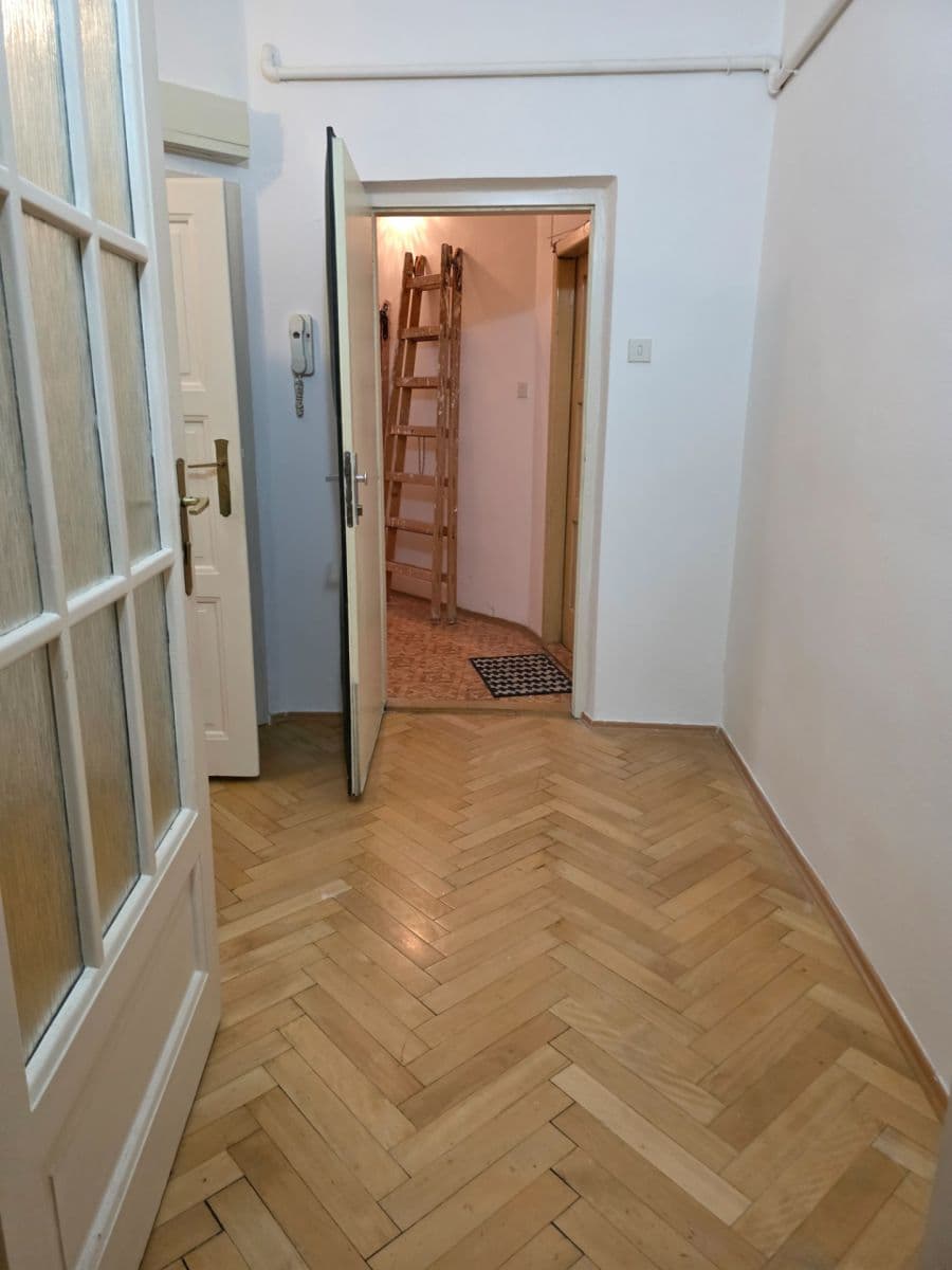 1 bedroom with open-plan kitchen flat for sale, 53 m², Puškinovo náměstí, Prague, Prague 1 bedroom with open-plan kitchen flat for sale, 53 m², Puškinovo náměstí, Prague, Prague