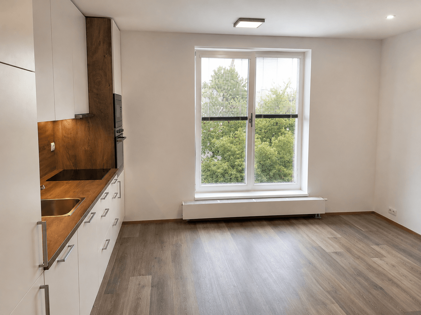 1 bedroom with open-plan kitchen flat to rent, 55 m², V jehličí, Prague, Prague 1 bedroom with open-plan kitchen flat to rent, 55 m², V jehličí, Prague, Prague