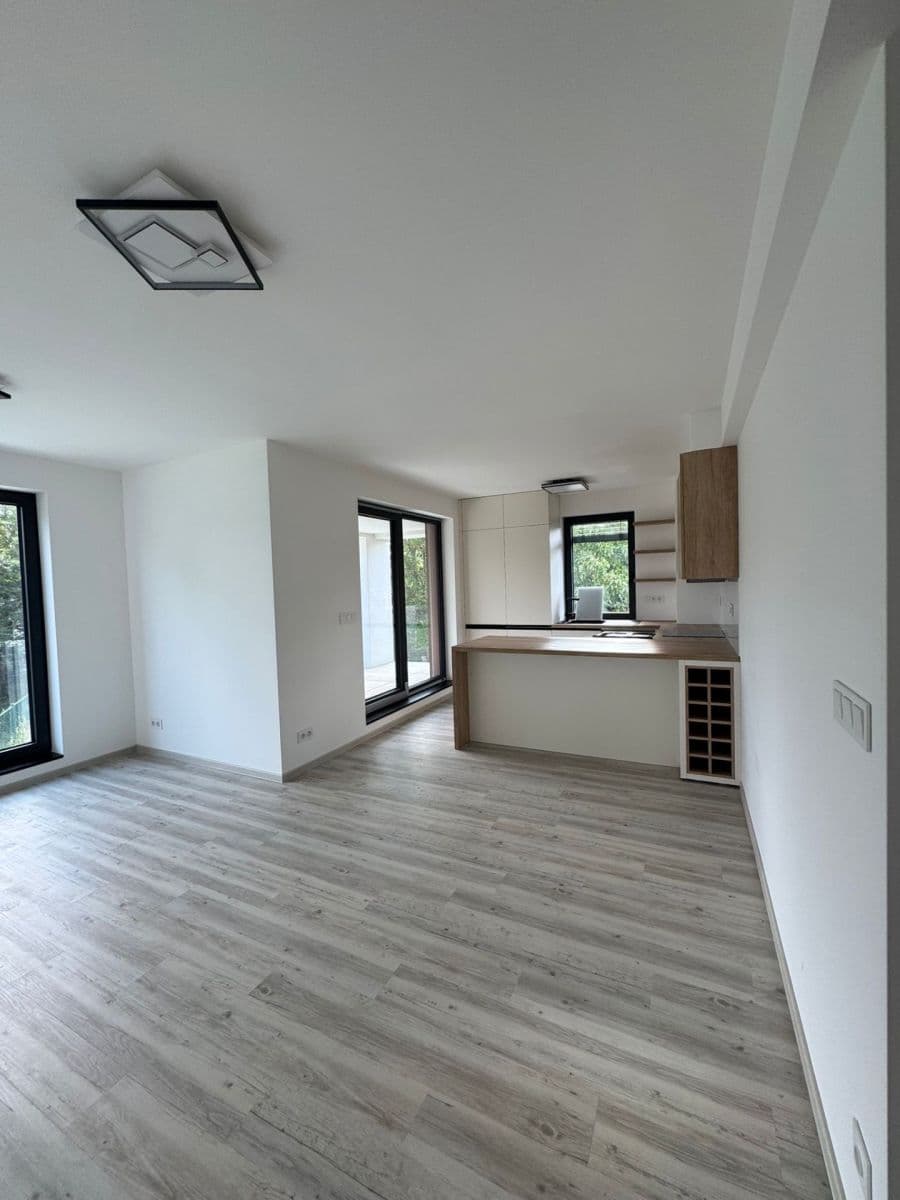 1 bedroom with open-plan kitchen flat to rent, 67 m², Za Arielem, Prague, Prague 1 bedroom with open-plan kitchen flat to rent, 67 m², Za Arielem, Prague, Prague