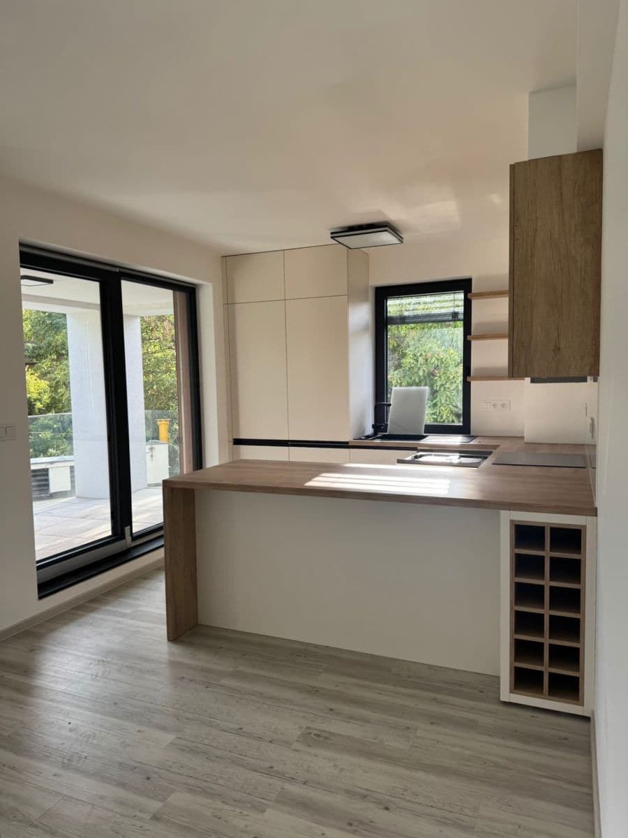 1 bedroom with open-plan kitchen flat to rent, 67 m², Za Arielem, Prague, Prague 1 bedroom with open-plan kitchen flat to rent, 67 m², Za Arielem, Prague, Prague