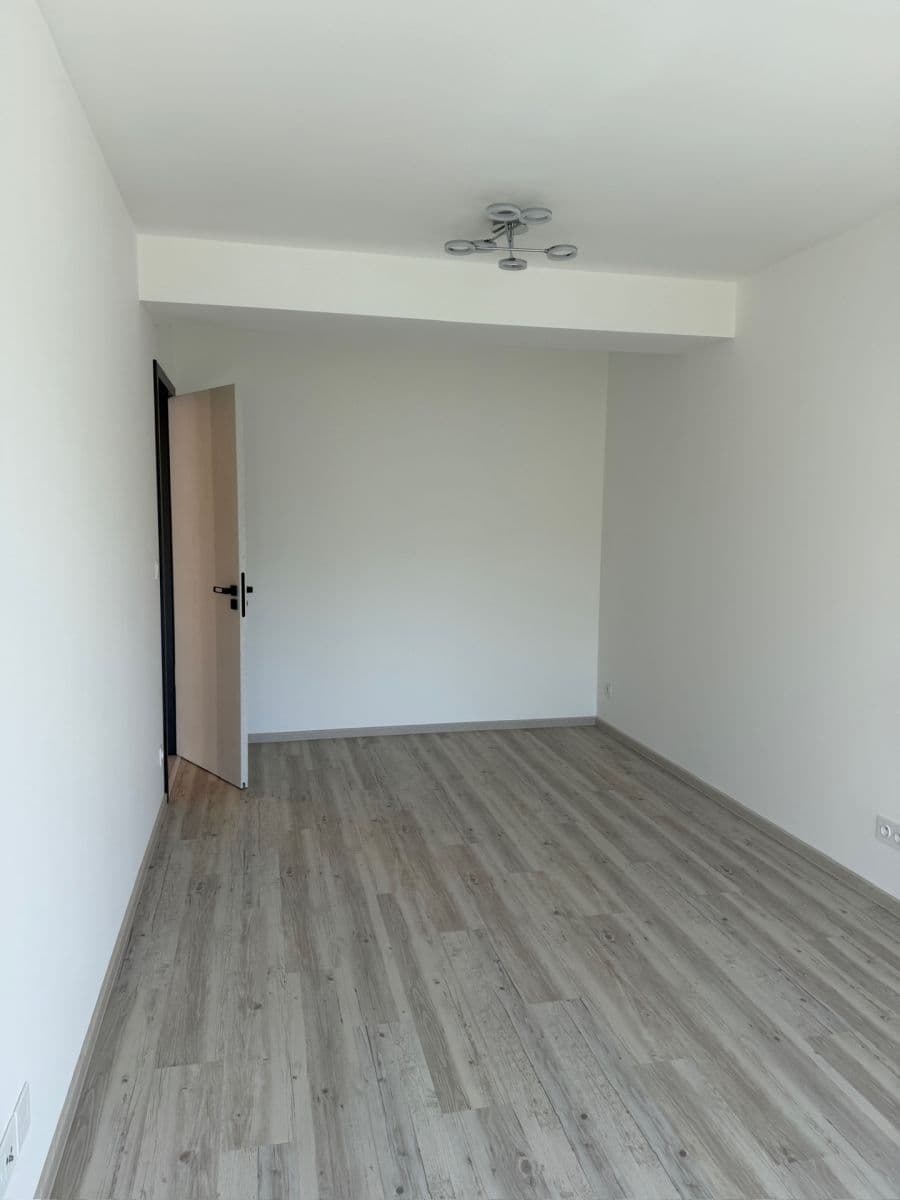 1 bedroom with open-plan kitchen flat to rent, 67 m², Za Arielem, Prague, Prague 1 bedroom with open-plan kitchen flat to rent, 67 m², Za Arielem, Prague, Prague