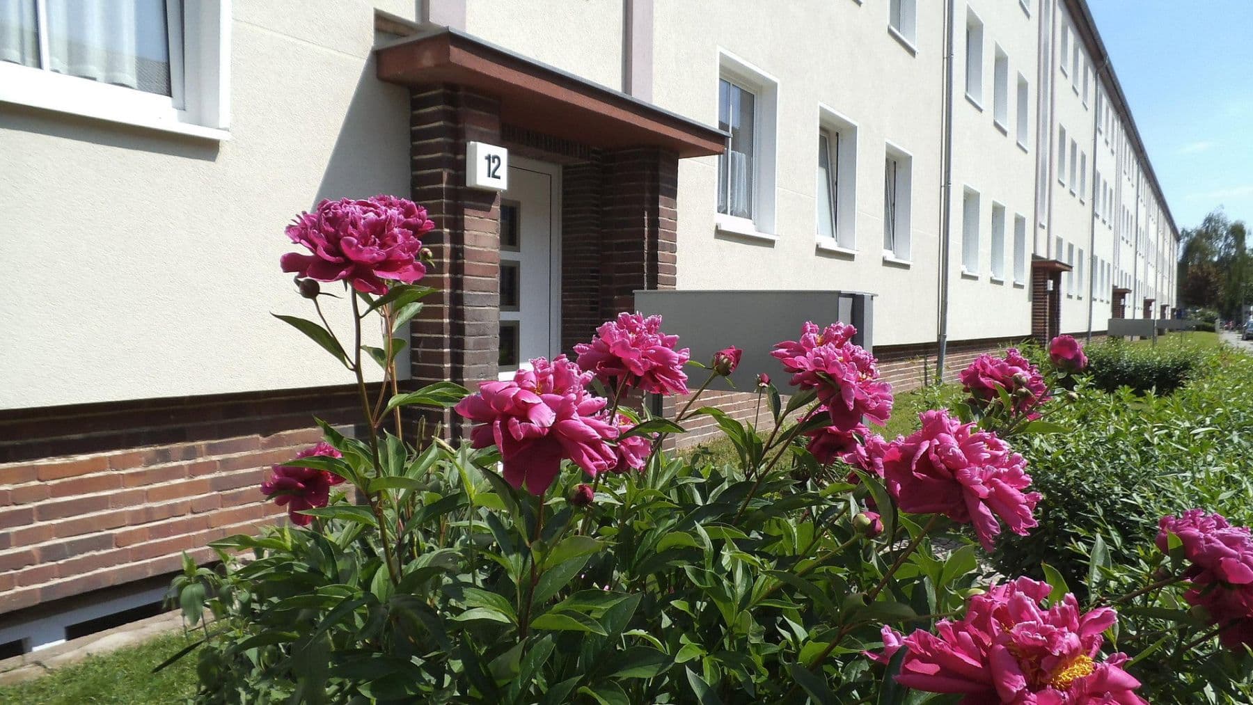 2 bedroom flat to rent, 65 m², Eisnerstraße 6, Magdeburg, Saxony-Anhalt 2 bedroom flat to rent, 65 m², Eisnerstraße 6, Magdeburg, Saxony-Anhalt