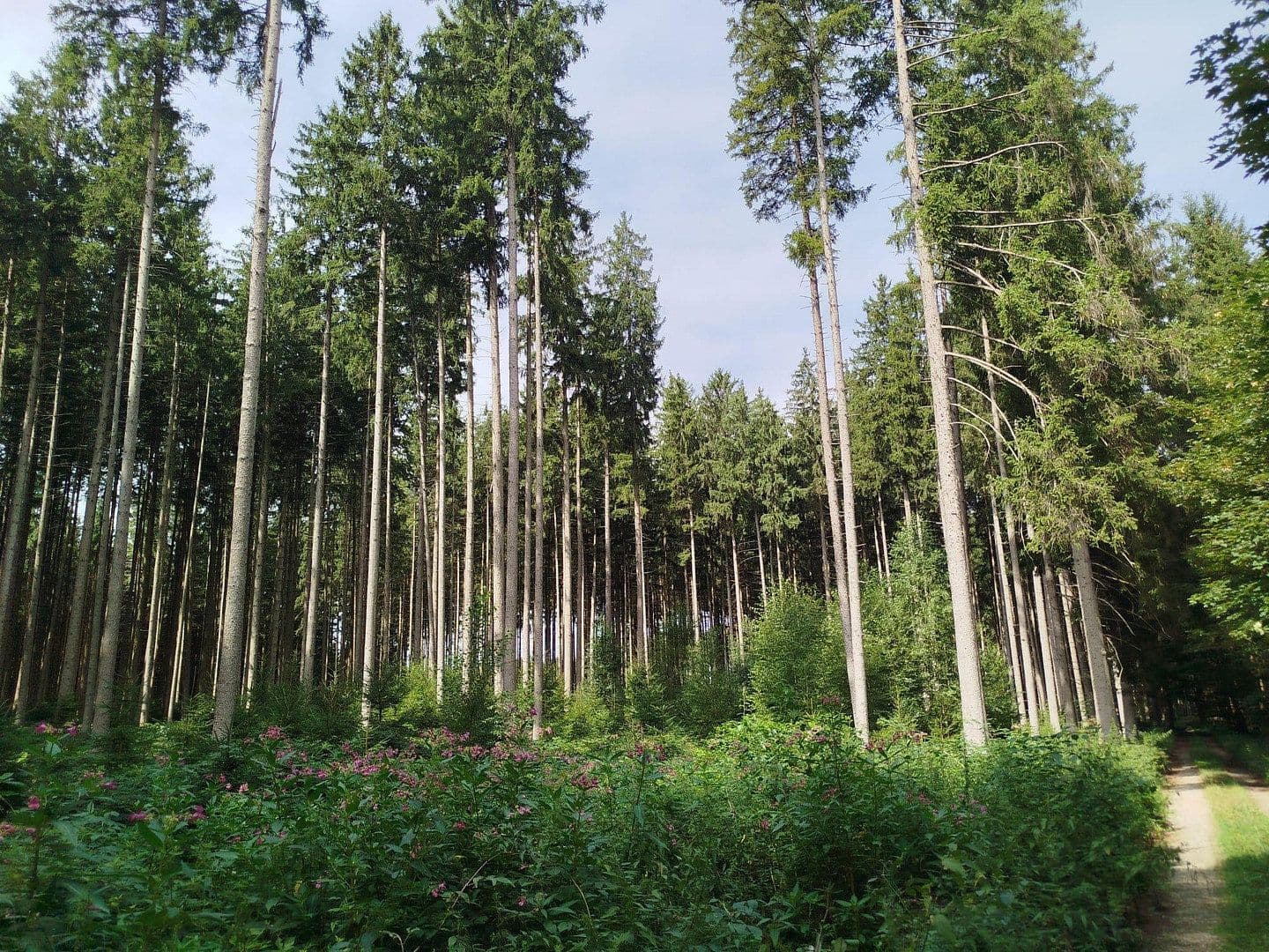plot for sale, 16,740 m², Mering, Bavaria plot for sale, 16,740 m², Mering, Bavaria