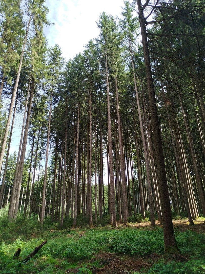 plot for sale, 16,740 m², Mering, Bavaria plot for sale, 16,740 m², Mering, Bavaria