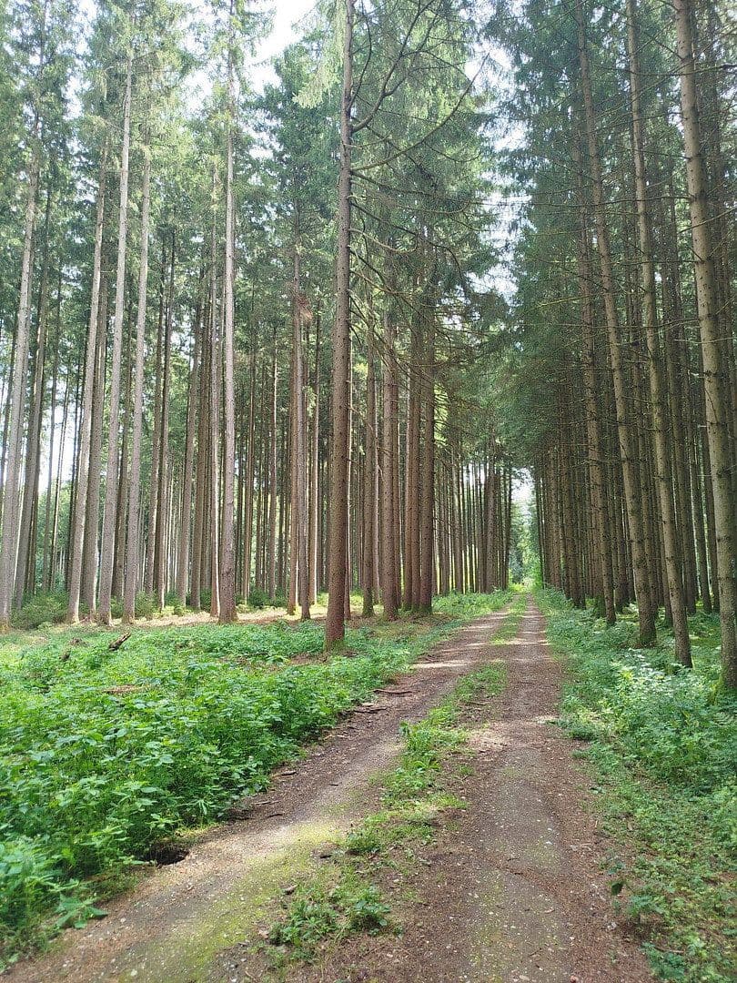 plot for sale, 16,740 m², Mering, Bavaria plot for sale, 16,740 m², Mering, Bavaria