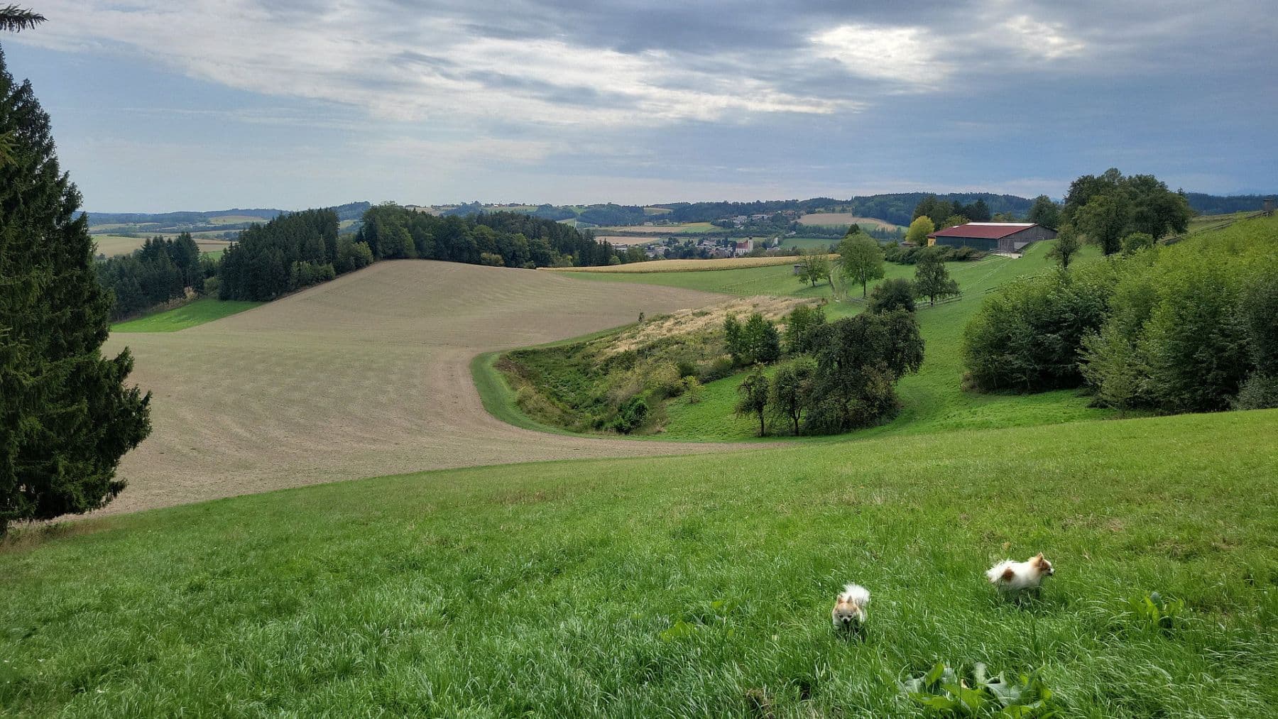 house for sale, 200 m², Pichl bei Wels, Upper Austria house for sale, 200 m², Pichl bei Wels, Upper Austria