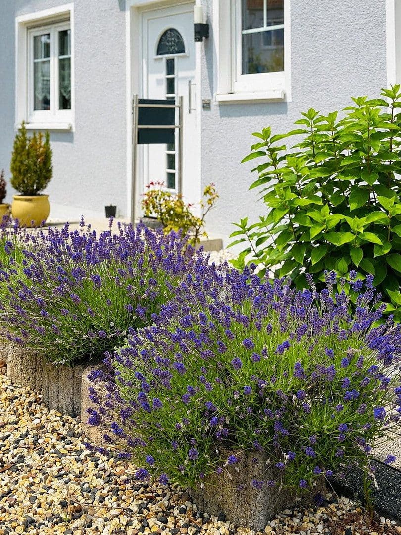 house for sale, 207 m², Bad Vilbel, Hesse house for sale, 207 m², Bad Vilbel, Hesse