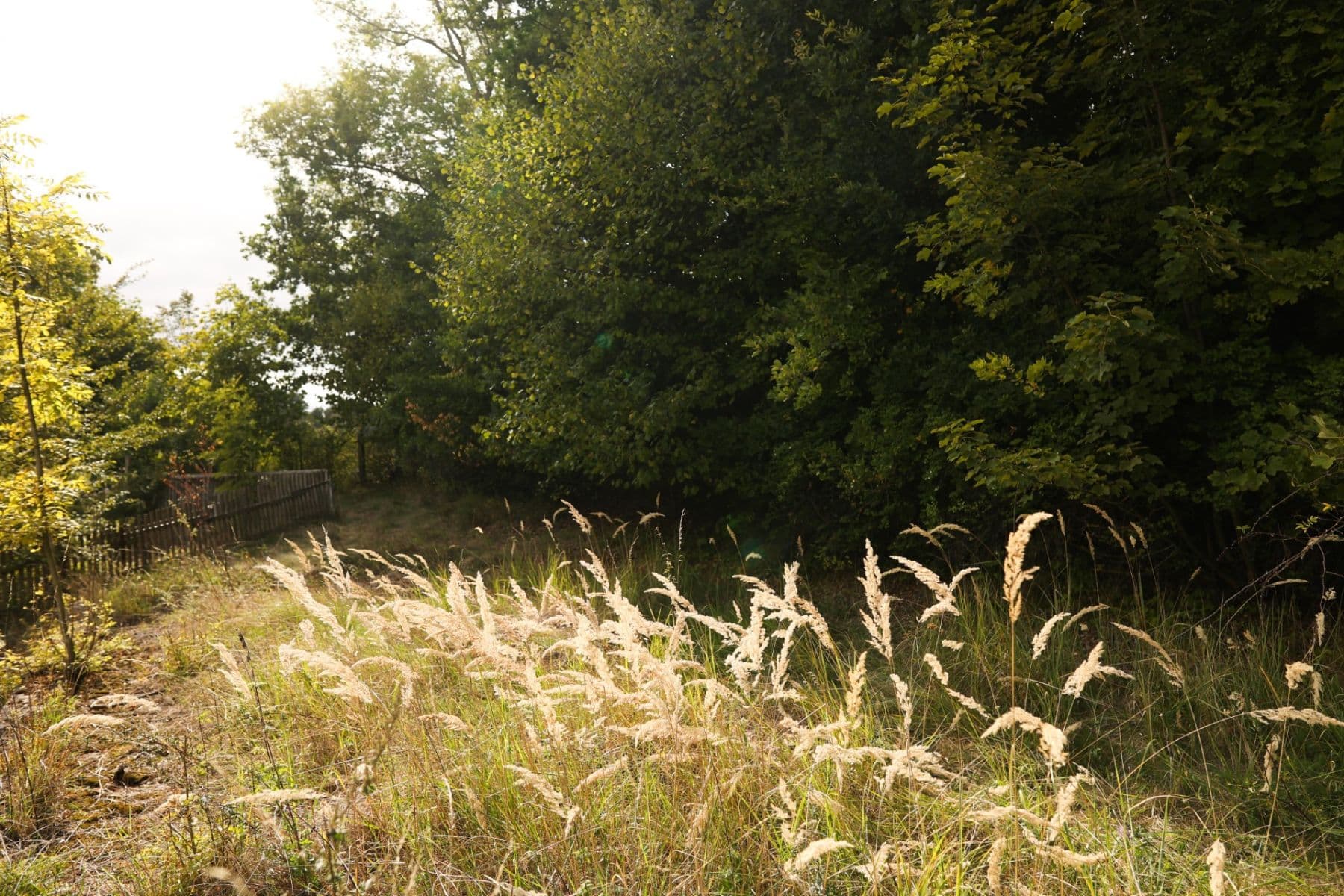 plot for sale, 1,138 m², Loket, Karlovarský Region plot for sale, 1,138 m², Loket, Karlovarský Region