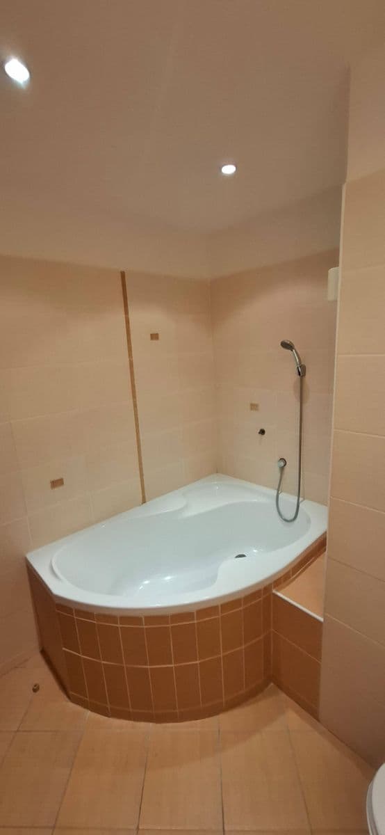 1 bedroom with open-plan kitchen flat to rent, 42 m², Bazovského, Prague, Prague 1 bedroom with open-plan kitchen flat to rent, 42 m², Bazovského, Prague, Prague