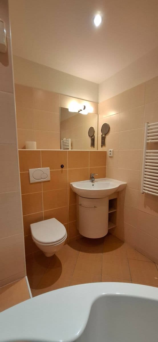 1 bedroom with open-plan kitchen flat to rent, 42 m², Bazovského, Prague, Prague 1 bedroom with open-plan kitchen flat to rent, 42 m², Bazovského, Prague, Prague