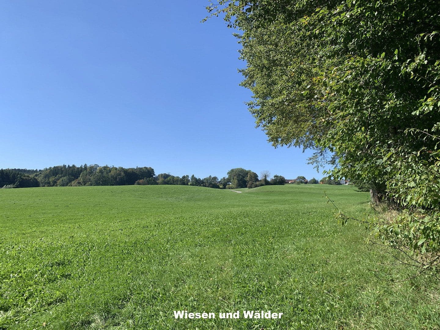 house for sale, 400 m², Marienplatz 1, Bayern - Ebersberg, Bavaria house for sale, 400 m², Marienplatz 1, Bayern - Ebersberg, Bavaria