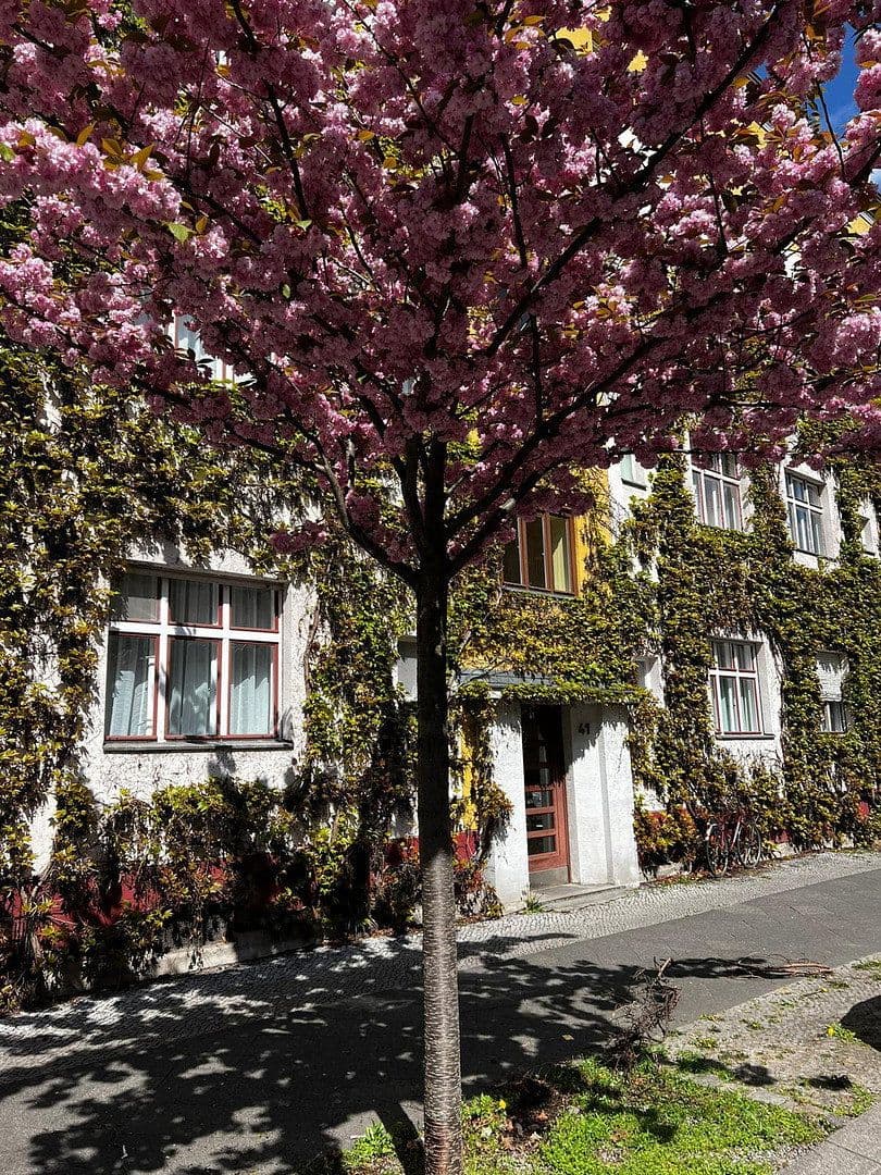 2 bedroom flat to rent, 58 m², Berlin, Berlin 2 bedroom flat to rent, 58 m², Berlin, Berlin