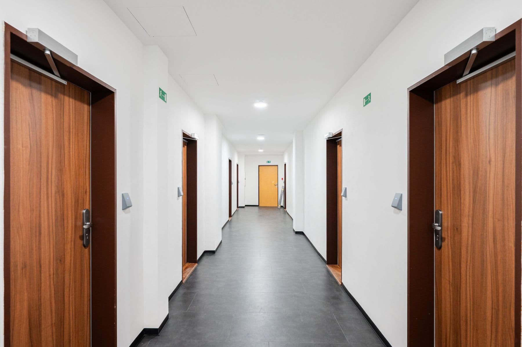 flat to rent, 19 m², Jeseniova, Prague, Prague flat to rent, 19 m², Jeseniova, Prague, Prague