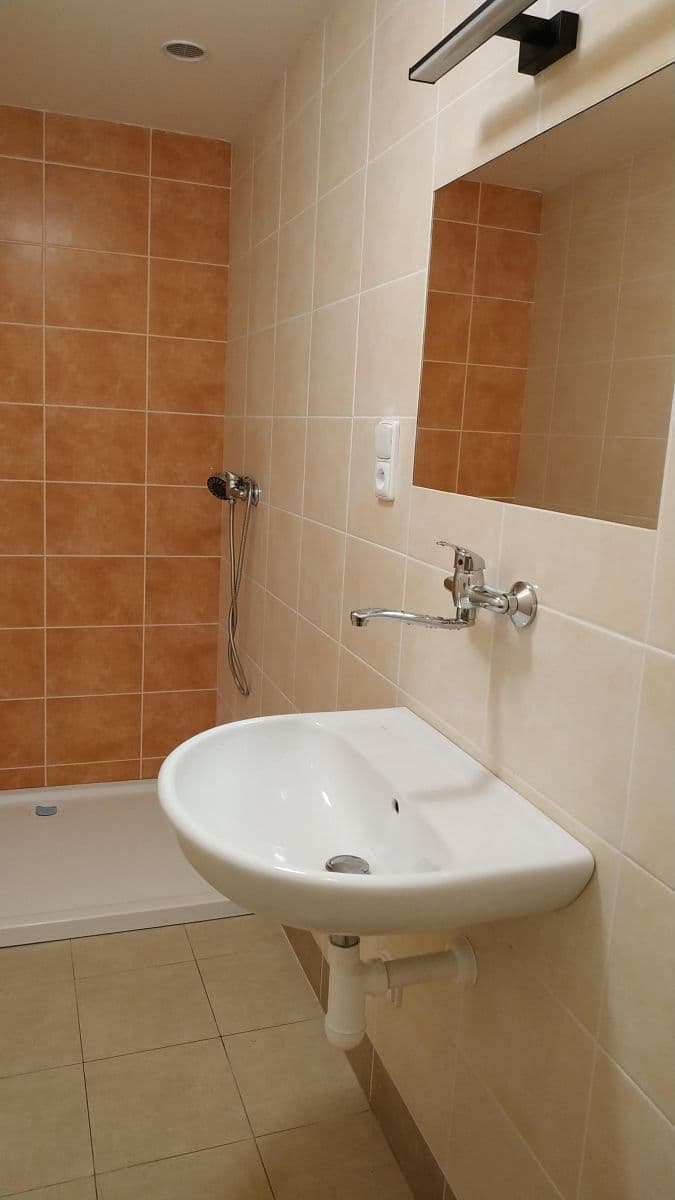 1 bedroom with open-plan kitchen flat to rent, 51 m², Dobrovského, Prague, Prague 1 bedroom with open-plan kitchen flat to rent, 51 m², Dobrovského, Prague, Prague