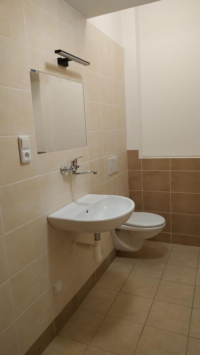 1 bedroom with open-plan kitchen flat to rent, 51 m², Dobrovského, Prague, Prague 1 bedroom with open-plan kitchen flat to rent, 51 m², Dobrovského, Prague, Prague