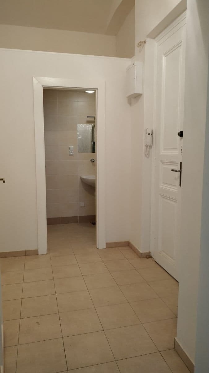 1 bedroom with open-plan kitchen flat to rent, 51 m², Dobrovského, Prague, Prague 1 bedroom with open-plan kitchen flat to rent, 51 m², Dobrovského, Prague, Prague