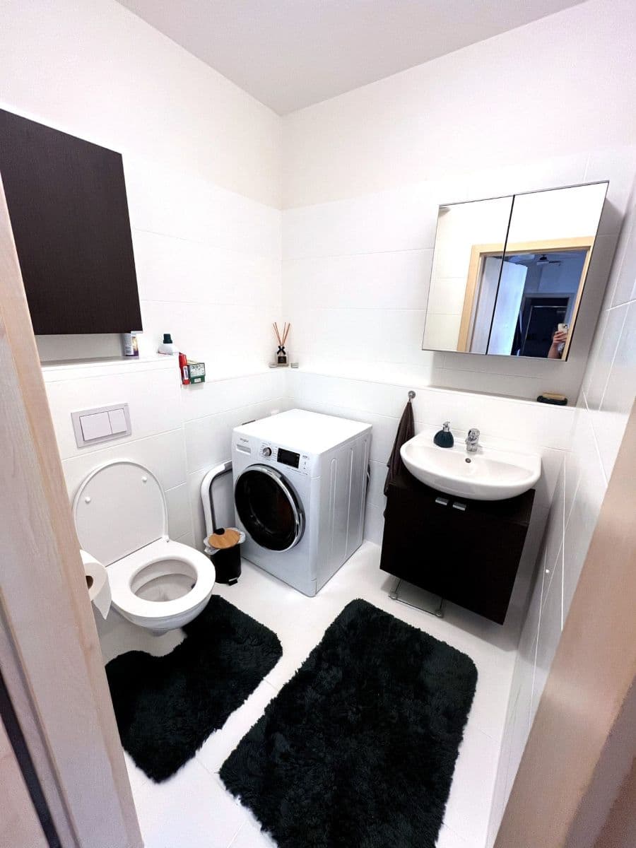 2 bedroom with open-plan kitchen flat to rent, 70 m², Miloše Havla, Prague, Prague 2 bedroom with open-plan kitchen flat to rent, 70 m², Miloše Havla, Prague, Prague