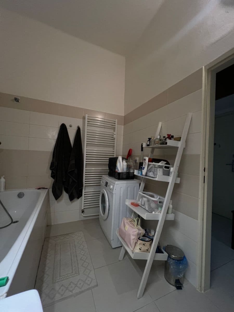 1 bedroom with open-plan kitchen flat to rent, 55 m², Mikovcova, Prague, Prague 1 bedroom with open-plan kitchen flat to rent, 55 m², Mikovcova, Prague, Prague