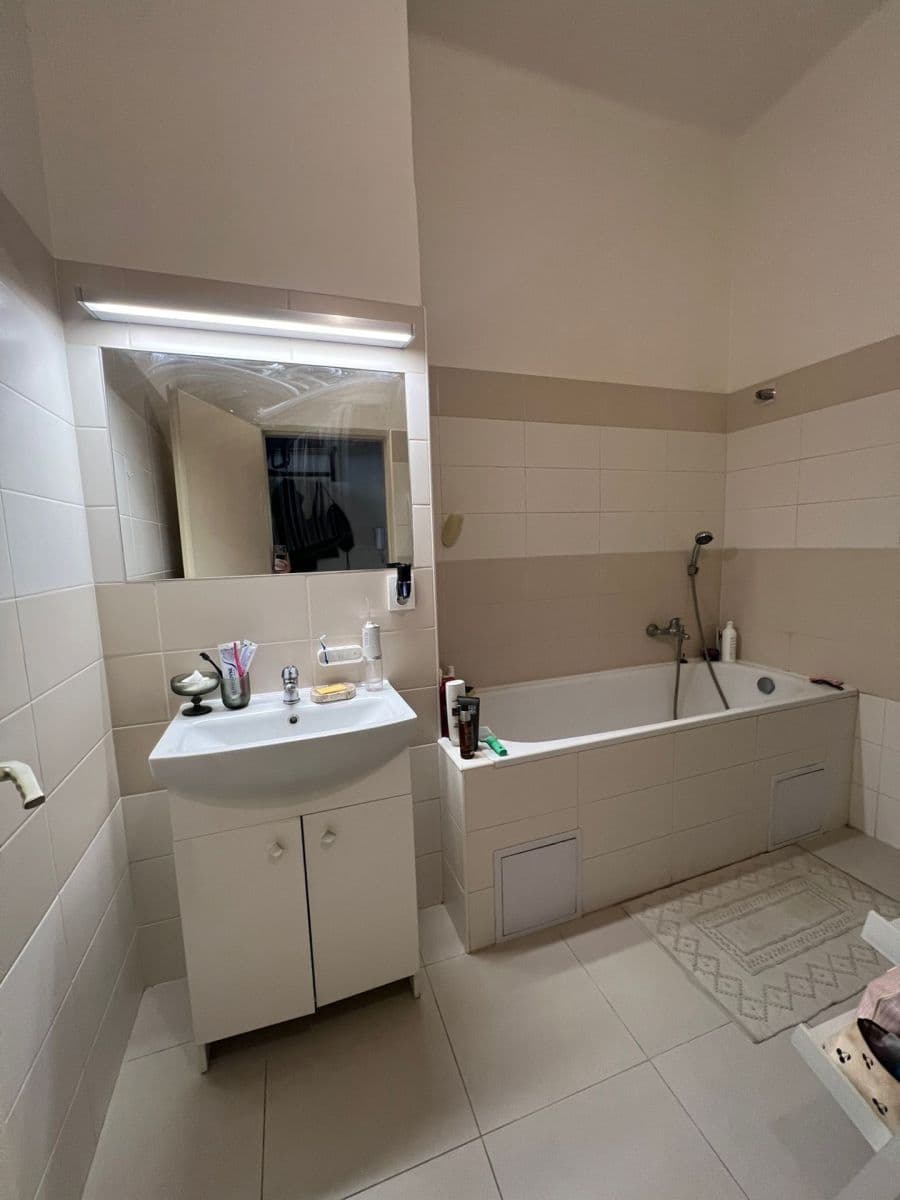 1 bedroom with open-plan kitchen flat to rent, 55 m², Mikovcova, Prague, Prague 1 bedroom with open-plan kitchen flat to rent, 55 m², Mikovcova, Prague, Prague