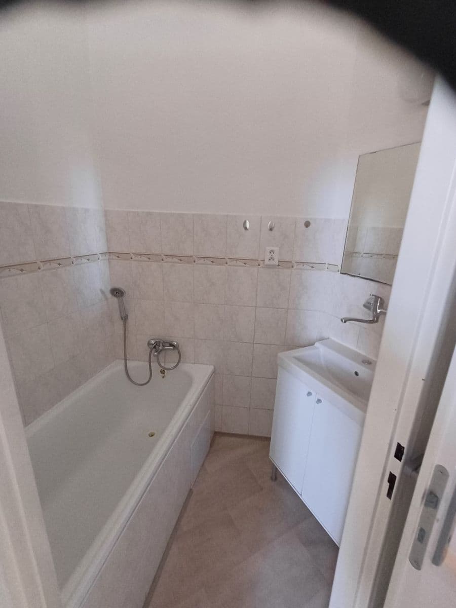 1 bedroom with open-plan kitchen flat to rent, 37 m², Madridská, Prague, Prague 1 bedroom with open-plan kitchen flat to rent, 37 m², Madridská, Prague, Prague