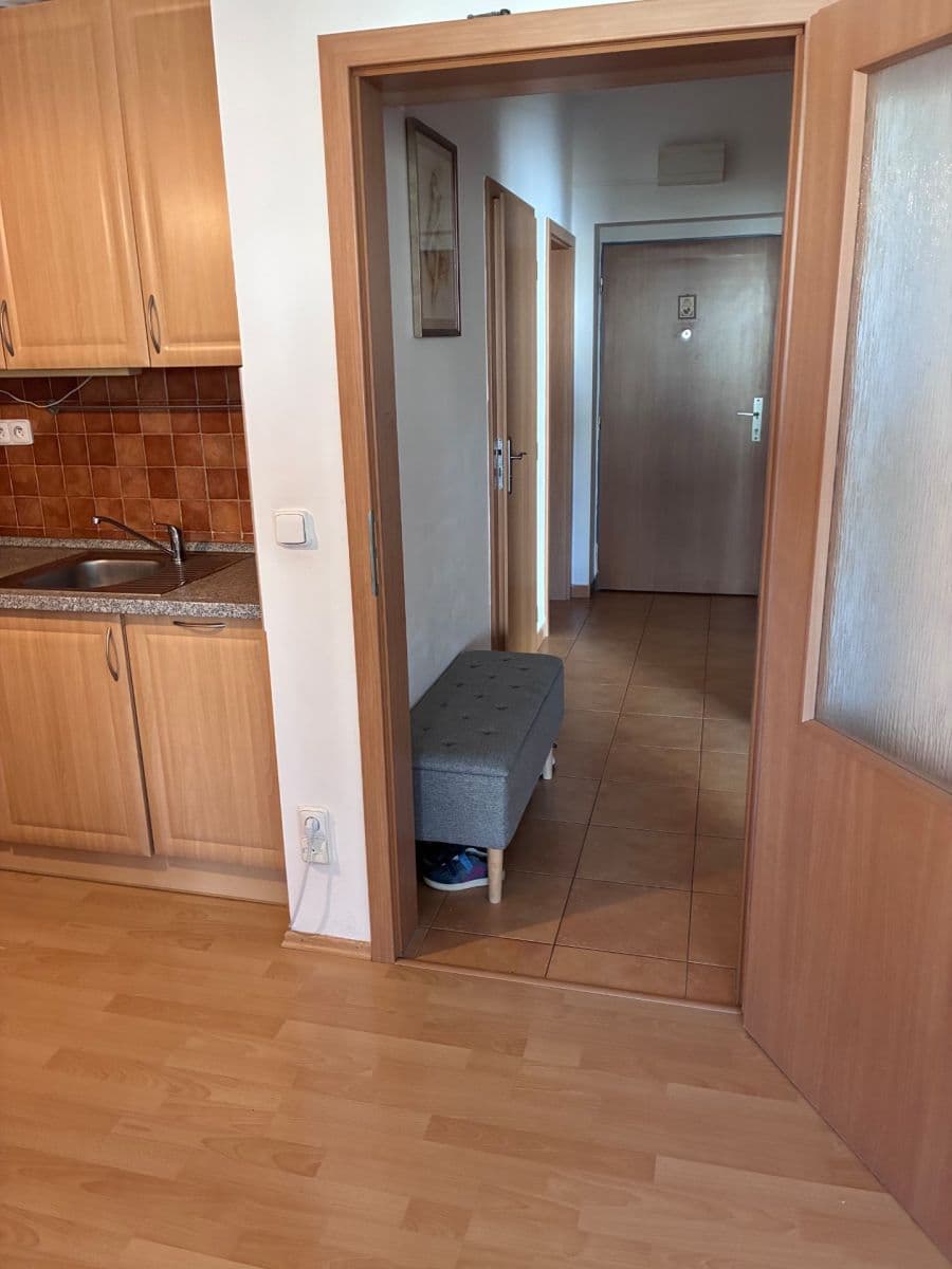 1 bedroom with open-plan kitchen flat to rent, 65 m², Kudrnova, Prague, Prague 1 bedroom with open-plan kitchen flat to rent, 65 m², Kudrnova, Prague, Prague