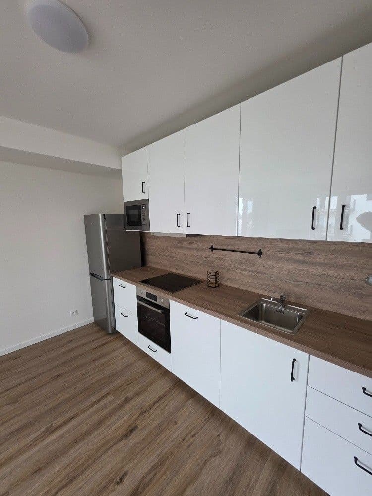 1 bedroom with open-plan kitchen flat to rent, 46 m², Generála Bočka, Prague, Prague 1 bedroom with open-plan kitchen flat to rent, 46 m², Generála Bočka, Prague, Prague