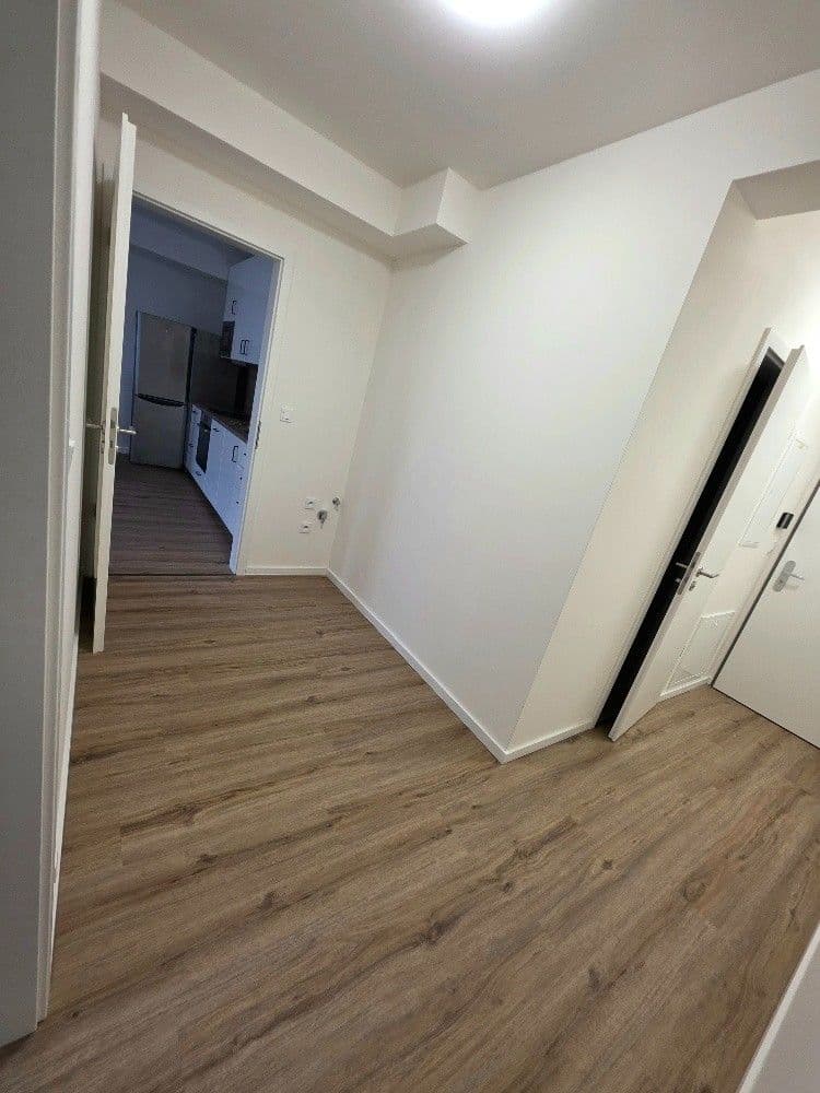 1 bedroom with open-plan kitchen flat to rent, 46 m², Generála Bočka, Prague, Prague 1 bedroom with open-plan kitchen flat to rent, 46 m², Generála Bočka, Prague, Prague