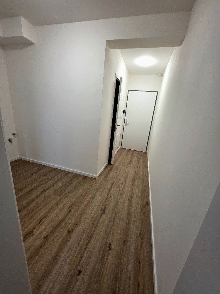1 bedroom with open-plan kitchen flat to rent, 46 m², Generála Bočka, Prague, Prague 1 bedroom with open-plan kitchen flat to rent, 46 m², Generála Bočka, Prague, Prague