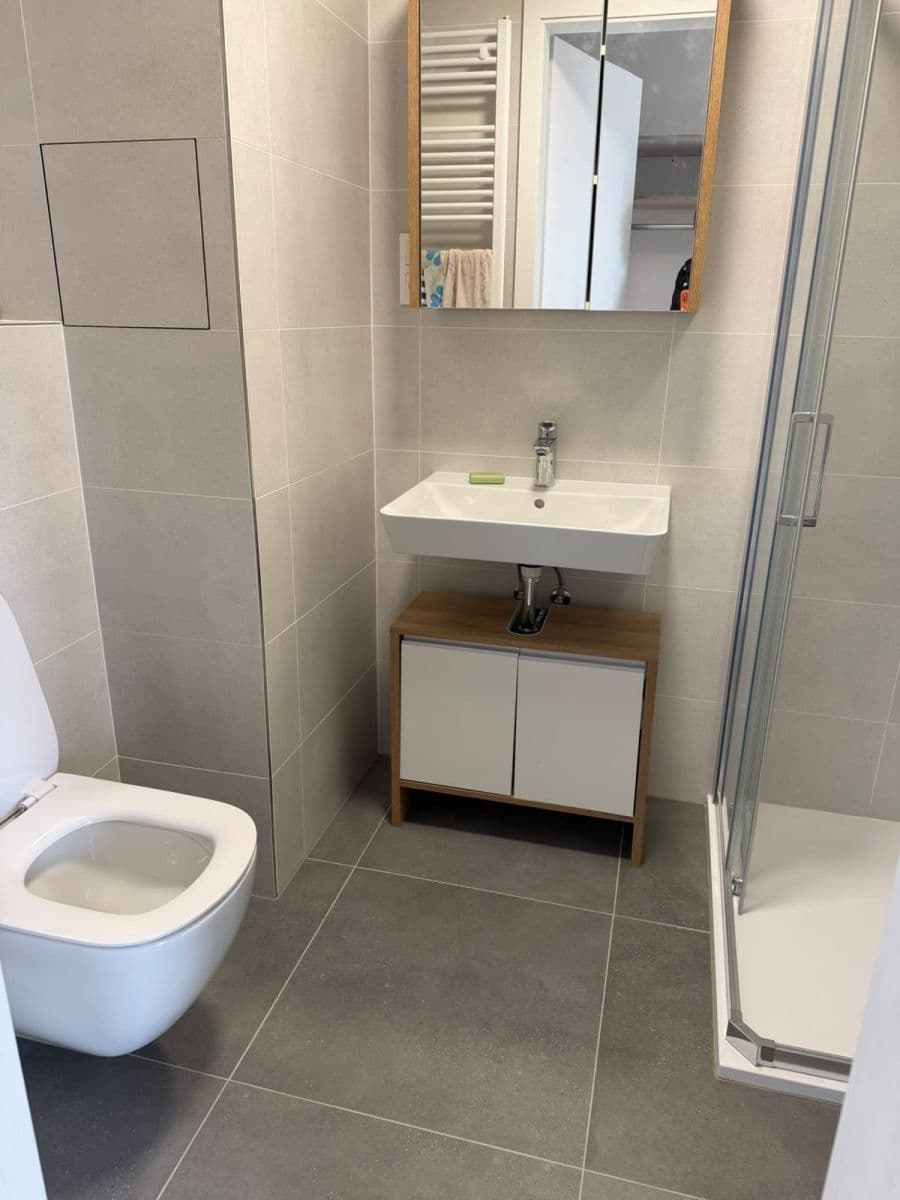 Studio flat to rent, 30 m², Jáchymovská, Prague, Prague Studio flat to rent, 30 m², Jáchymovská, Prague, Prague