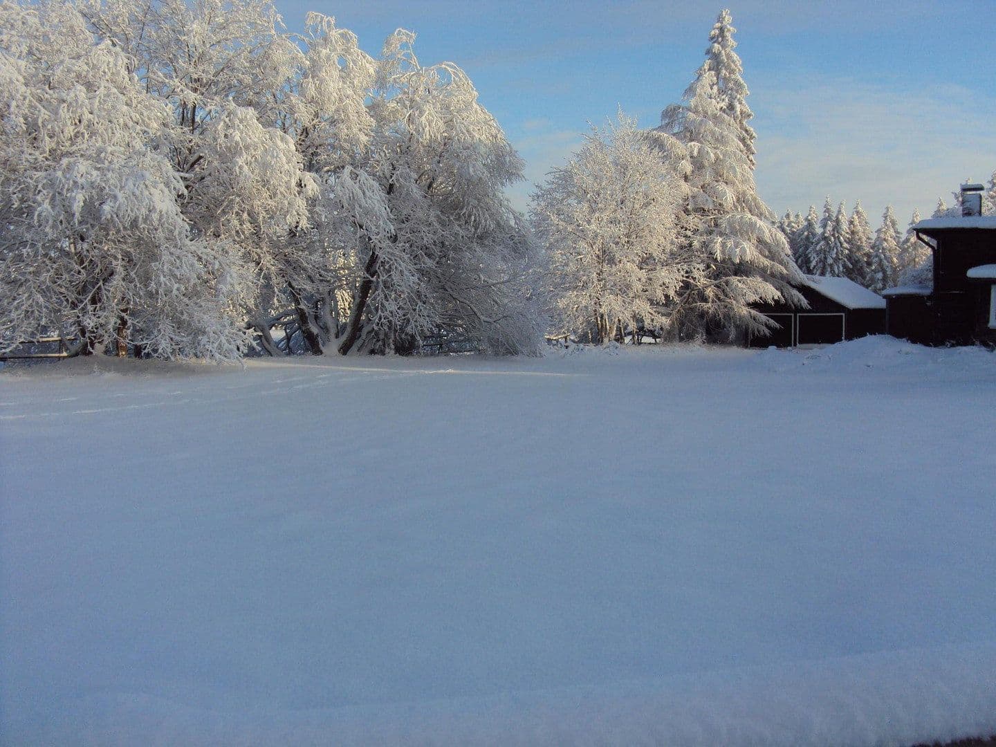 non-residential property for sale, 1,650 m², Braunlage, Lower Saxony non-residential property for sale, 1,650 m², Braunlage, Lower Saxony