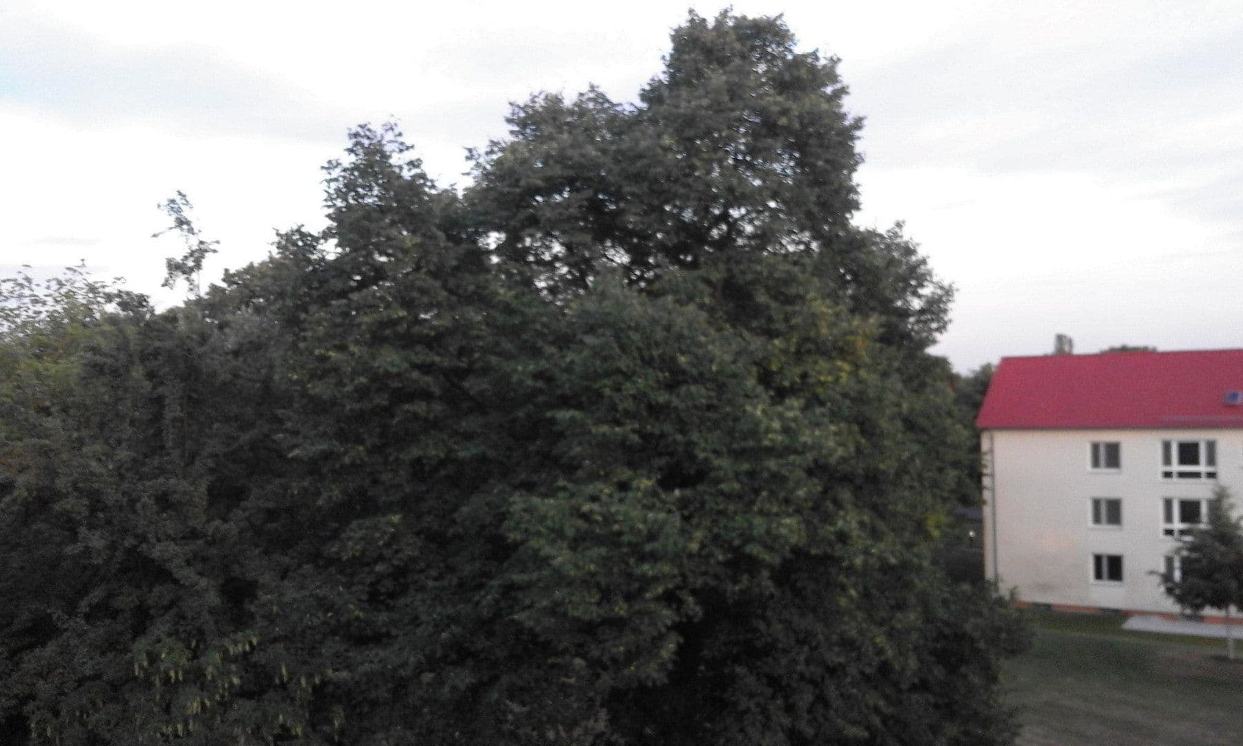 3 bedroom flat to rent, 101 m², Wiesbaden-Sonnenberg, Hesse 3 bedroom flat to rent, 101 m², Wiesbaden-Sonnenberg, Hesse
