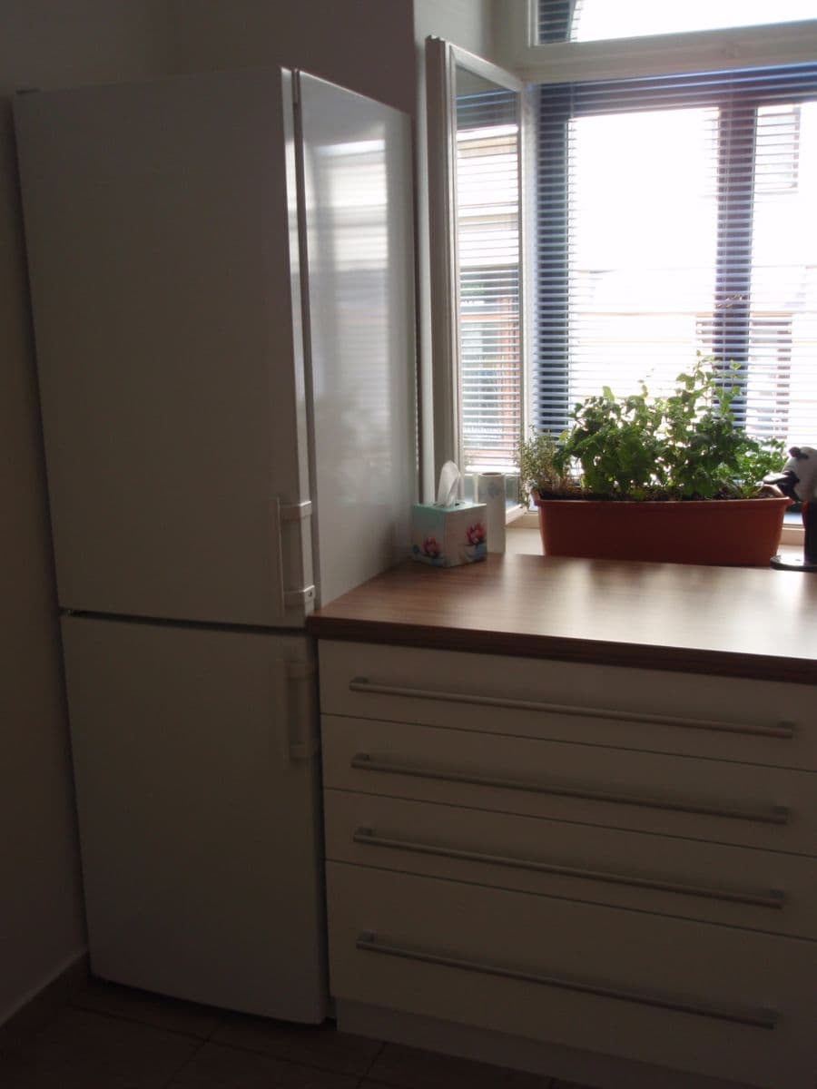 2 bedroom flat to rent, 46 m², Roháčova, Prague, Prague 2 bedroom flat to rent, 46 m², Roháčova, Prague, Prague