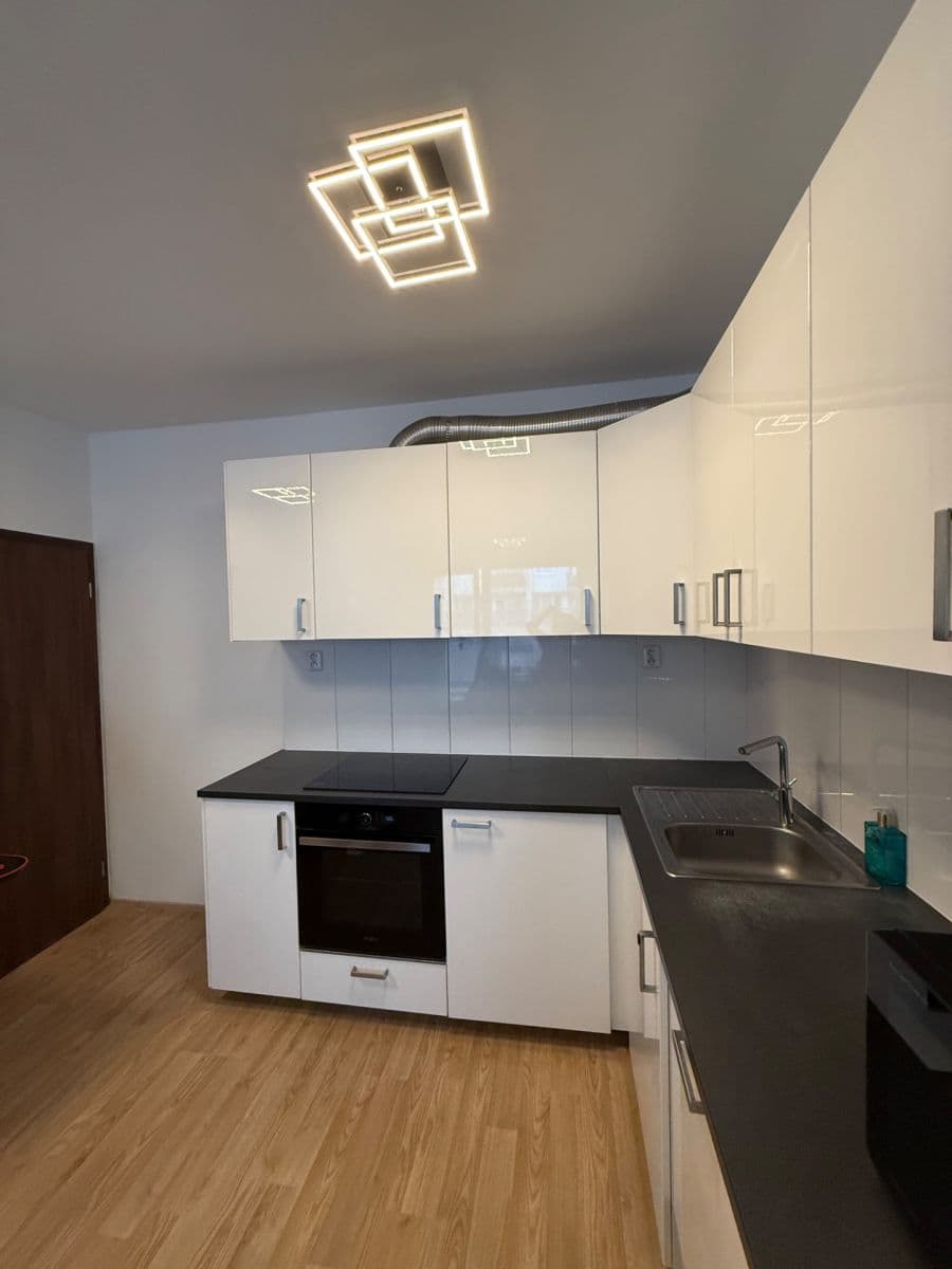 1 bedroom with open-plan kitchen flat to rent, 47 m², Zakšínská, Prague, Prague 1 bedroom with open-plan kitchen flat to rent, 47 m², Zakšínská, Prague, Prague