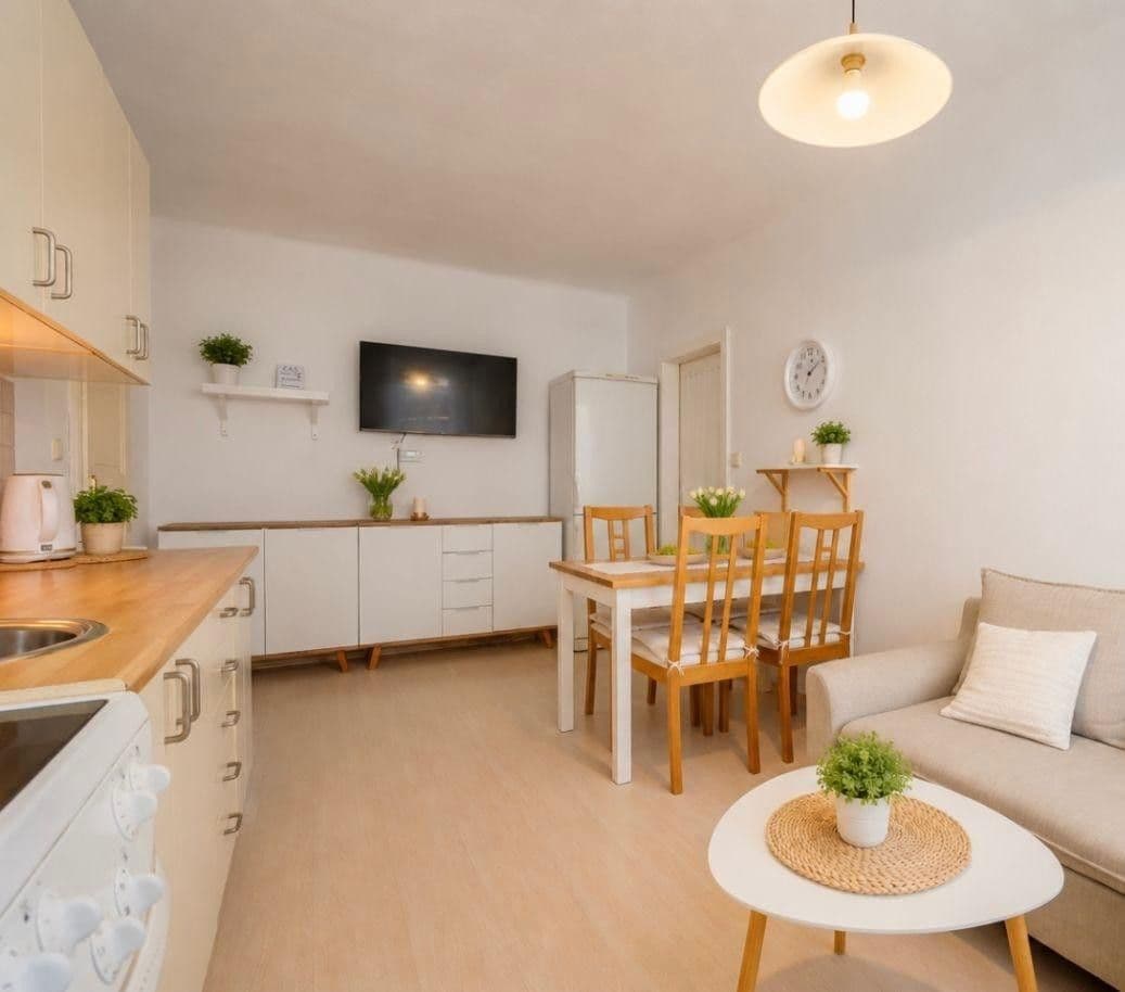 1 bedroom with open-plan kitchen flat to rent, 50 m², Rudolfovská tř., České Budějovice, Jihočeský Region 1 bedroom with open-plan kitchen flat to rent, 50 m², Rudolfovská tř., České Budějovice, Jihočeský Region