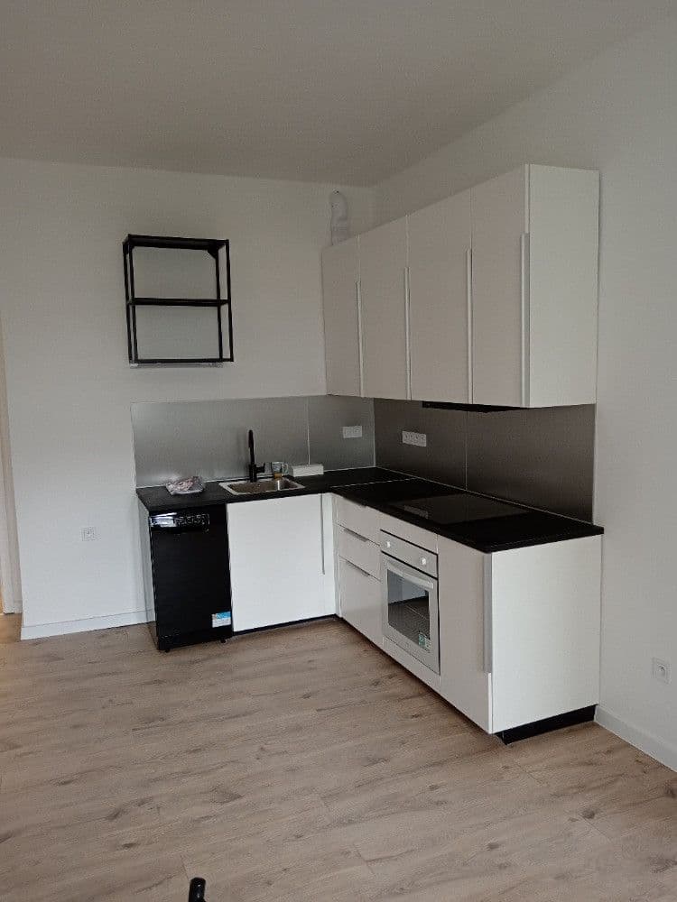 2 bedroom with open-plan kitchen flat to rent, 80 m², 28. pluku, Prague, Prague 2 bedroom with open-plan kitchen flat to rent, 80 m², 28. pluku, Prague, Prague
