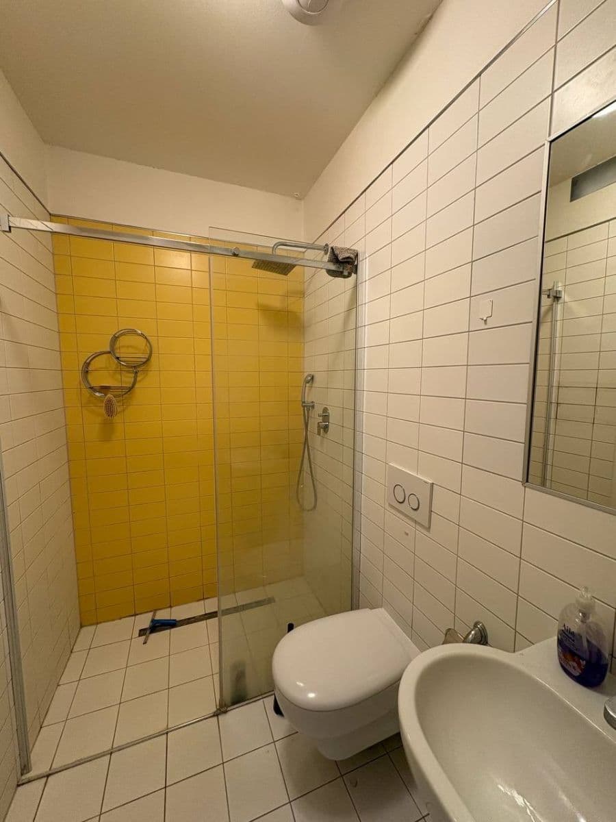 Studio flat to rent, 30 m², Bořivojova, Prague, Prague Studio flat to rent, 30 m², Bořivojova, Prague, Prague