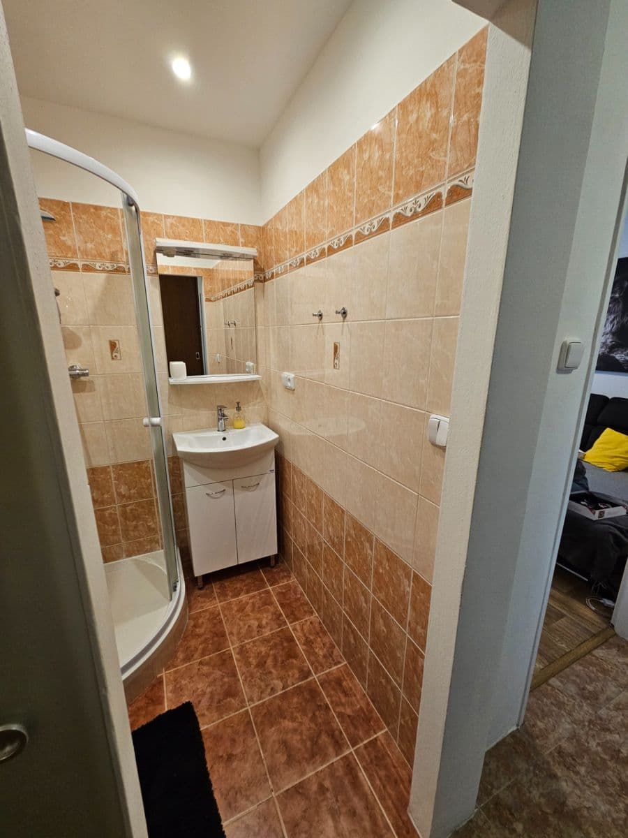 2 bedroom with open-plan kitchen flat to rent, 60 m², Habartická, Prague, Prague 2 bedroom with open-plan kitchen flat to rent, 60 m², Habartická, Prague, Prague