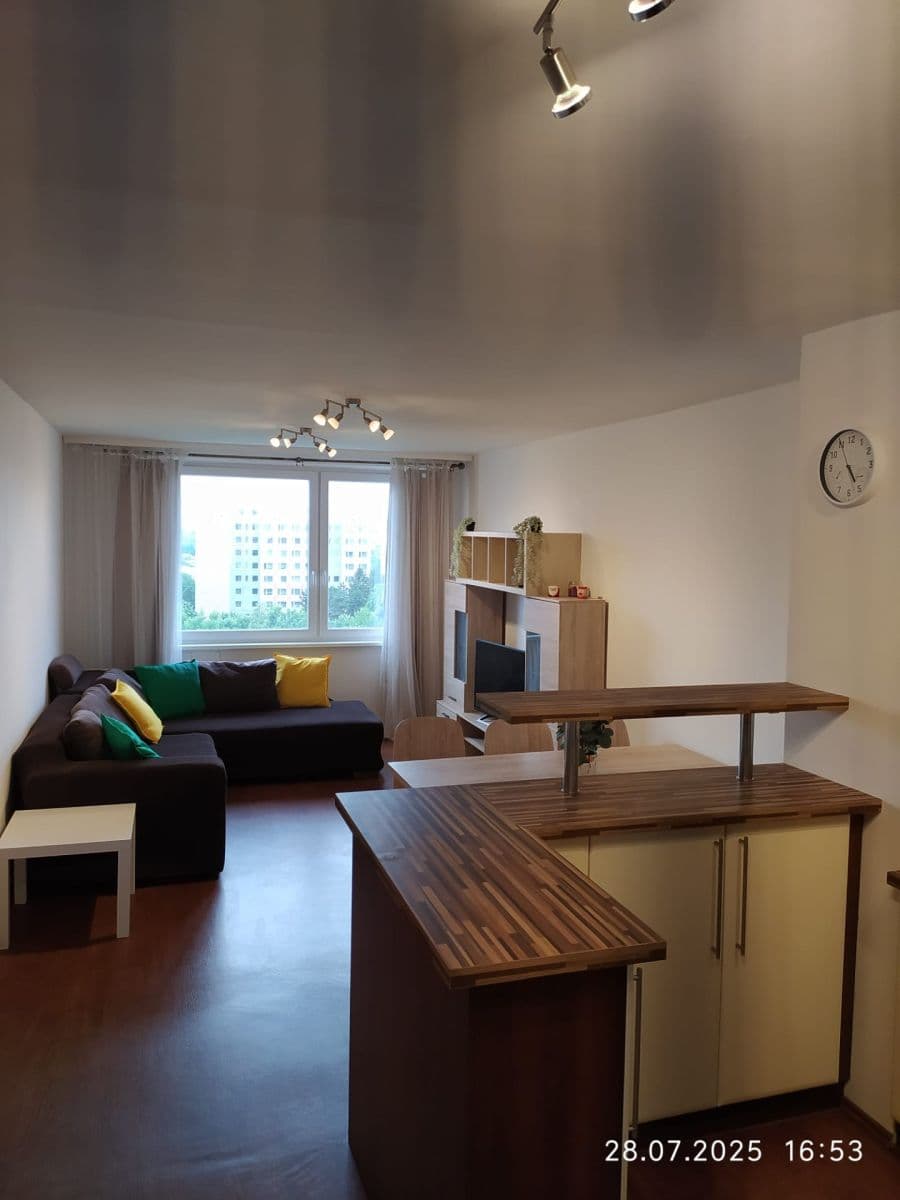 3 bedroom with open-plan kitchen flat to rent, 90 m², Nechvílova, Prague, Prague 3 bedroom with open-plan kitchen flat to rent, 90 m², Nechvílova, Prague, Prague