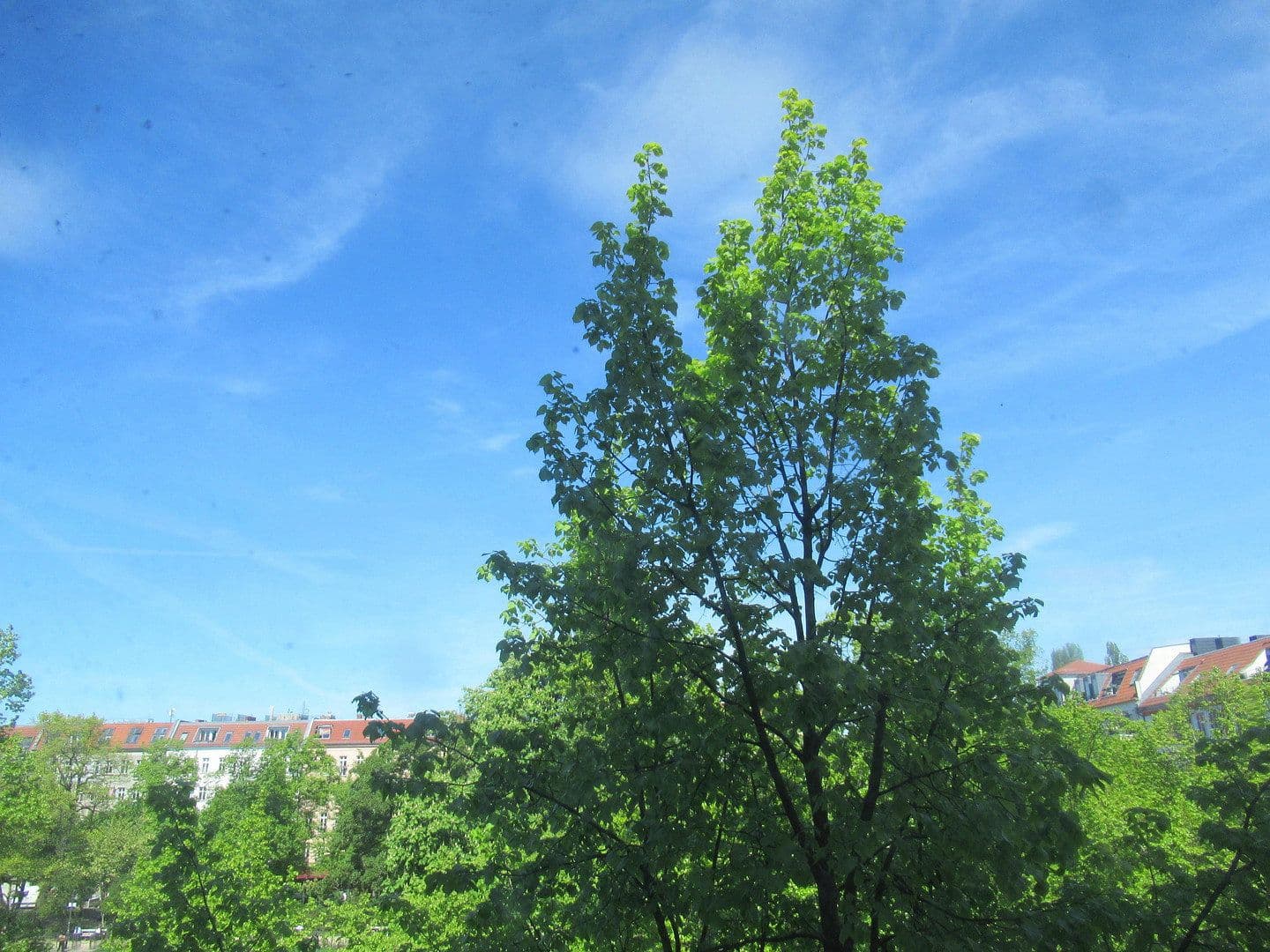 2 bedroom flat to rent, 50 m², Berlin, Berlin 2 bedroom flat to rent, 50 m², Berlin, Berlin