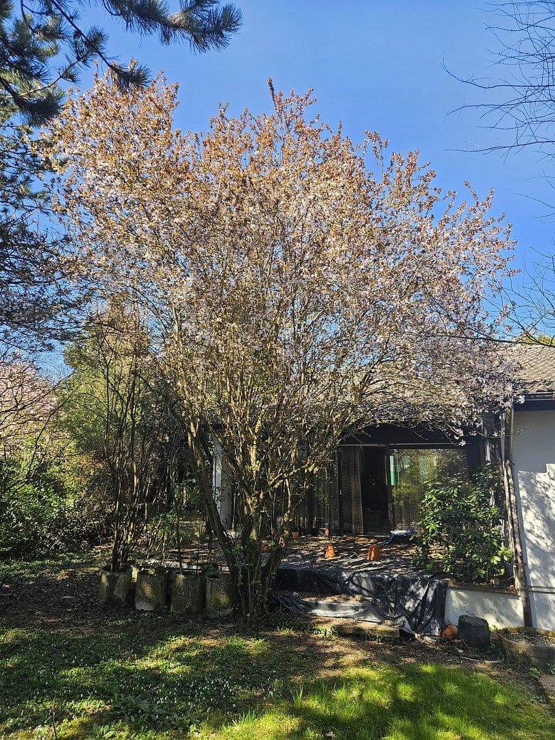 house for sale, 131 m², Kelkheim (Taunus), Hesse house for sale, 131 m², Kelkheim (Taunus), Hesse