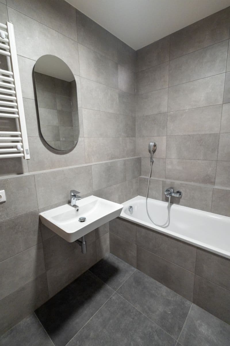 1 bedroom with open-plan kitchen flat to rent, 63 m², Malešická, Prague, Prague 1 bedroom with open-plan kitchen flat to rent, 63 m², Malešická, Prague, Prague