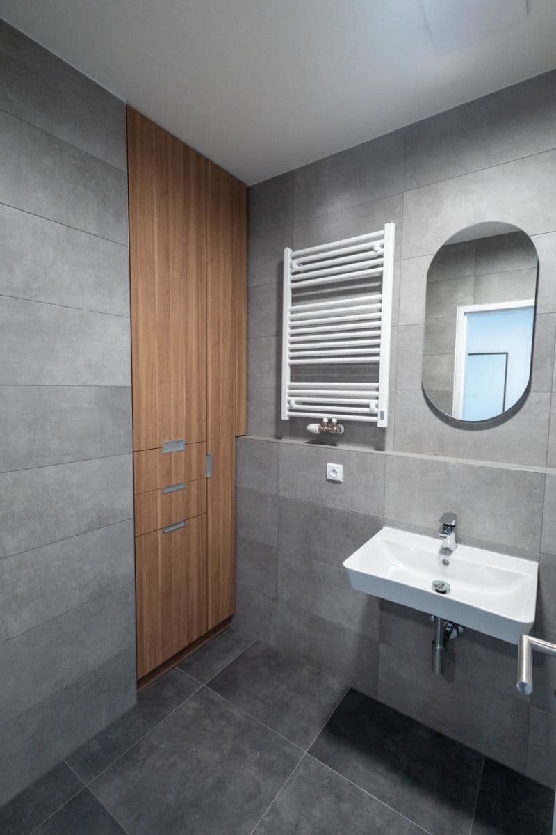 1 bedroom with open-plan kitchen flat to rent, 63 m², Malešická, Prague, Prague 1 bedroom with open-plan kitchen flat to rent, 63 m², Malešická, Prague, Prague