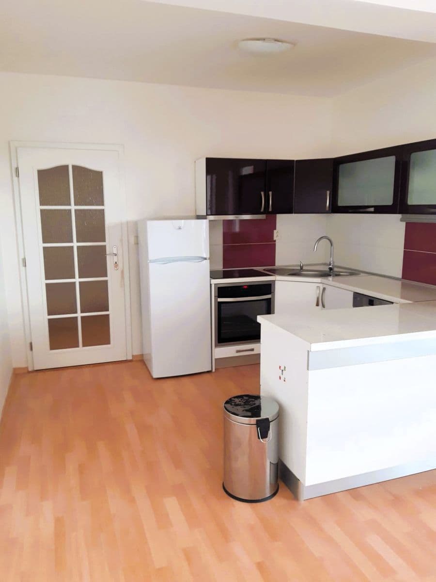 1 bedroom with open-plan kitchen flat to rent, 56 m², Mattioliho, Prague, Prague 1 bedroom with open-plan kitchen flat to rent, 56 m², Mattioliho, Prague, Prague